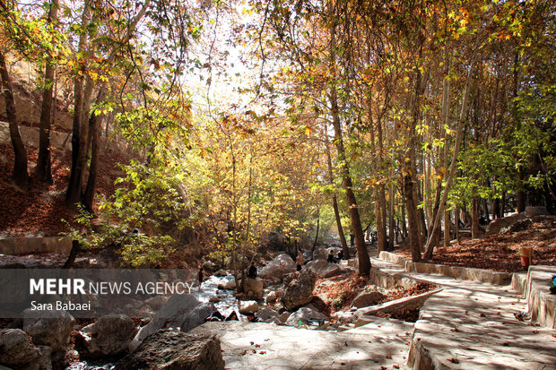 پاییز سراب صحنه؛ نمایشی باشکوه از هزار رنگ طبیعت