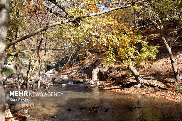 پاییز سراب صحنه؛ نمایشی باشکوه از هزار رنگ طبیعت