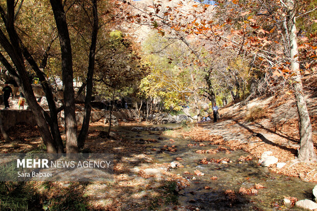 پاییز سراب صحنه؛ نمایشی باشکوه از هزار رنگ طبیعت