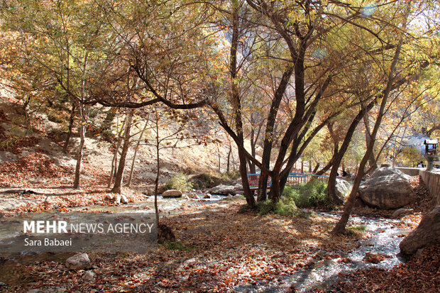 پاییز سراب صحنه؛ نمایشی باشکوه از هزار رنگ طبیعت