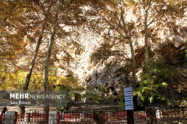 پاییز سراب صحنه؛ نمایشی باشکوه از هزار رنگ طبیعت