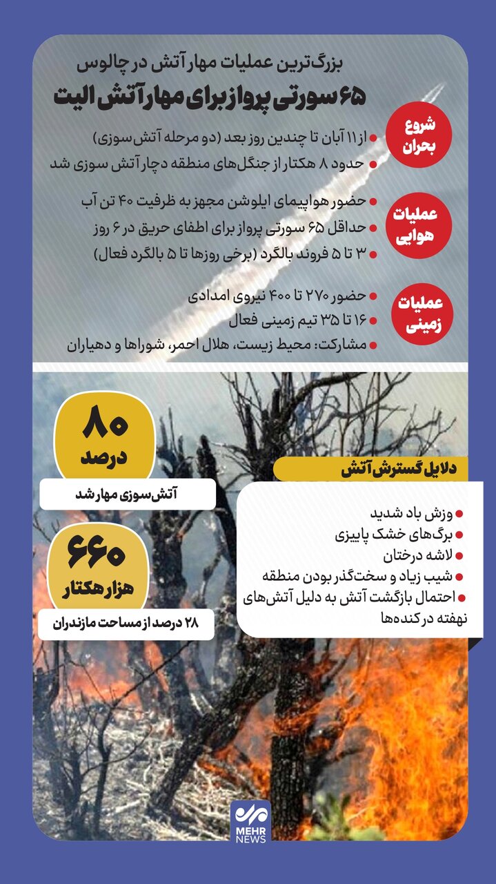 اینفوگرافیک؛ جنگلهای الیت می سوزد