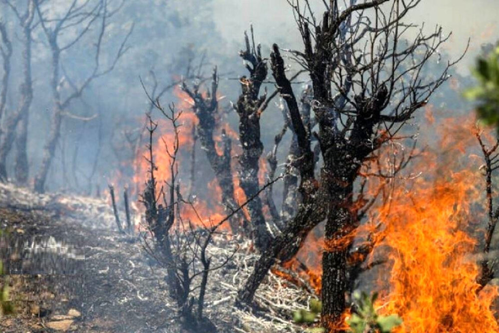 قصه پر غصه «الیت» و آتشی که بر جان هیرکانی افتاد