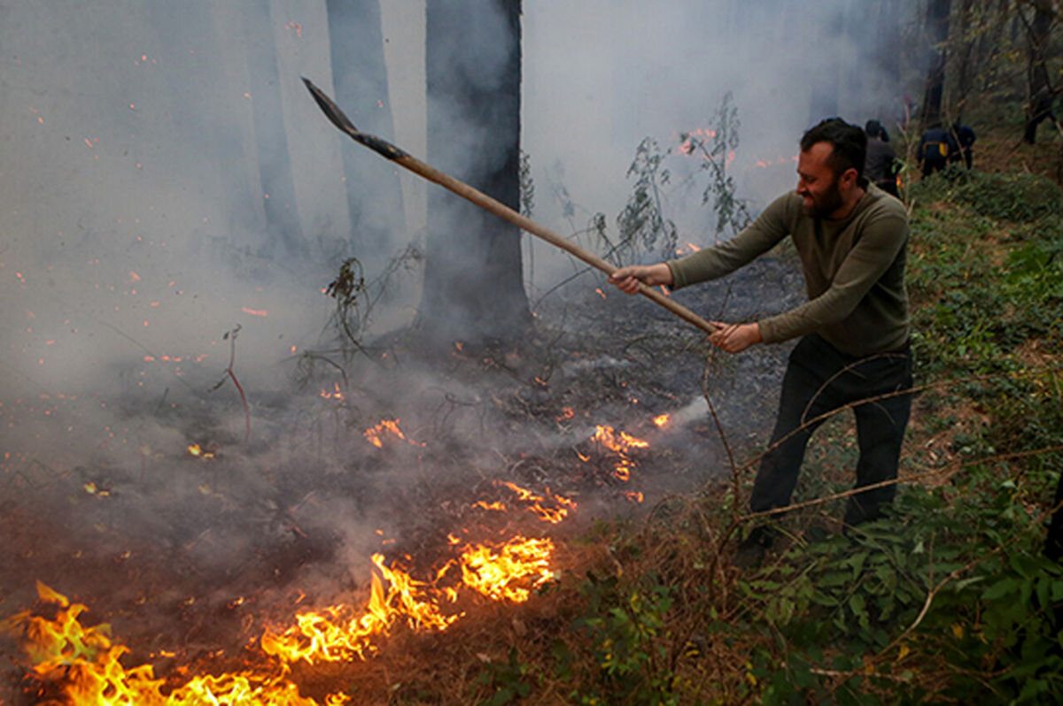 قصه پر غصه «الیت» و آتشی که بر جان هیرکانی افتاد