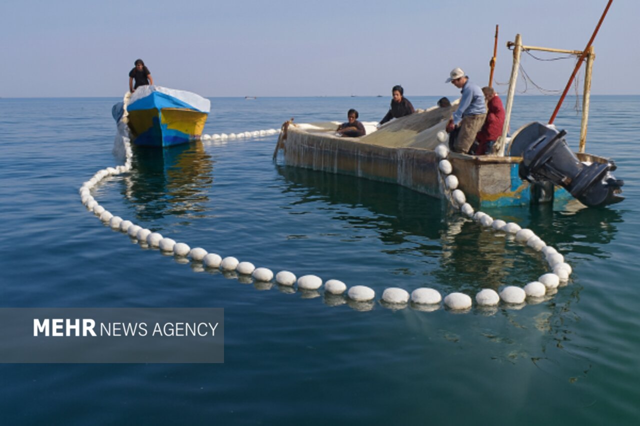 چابهار در مسیر جهش بزرگ آبزیپروری و اقتصاد دریامحور