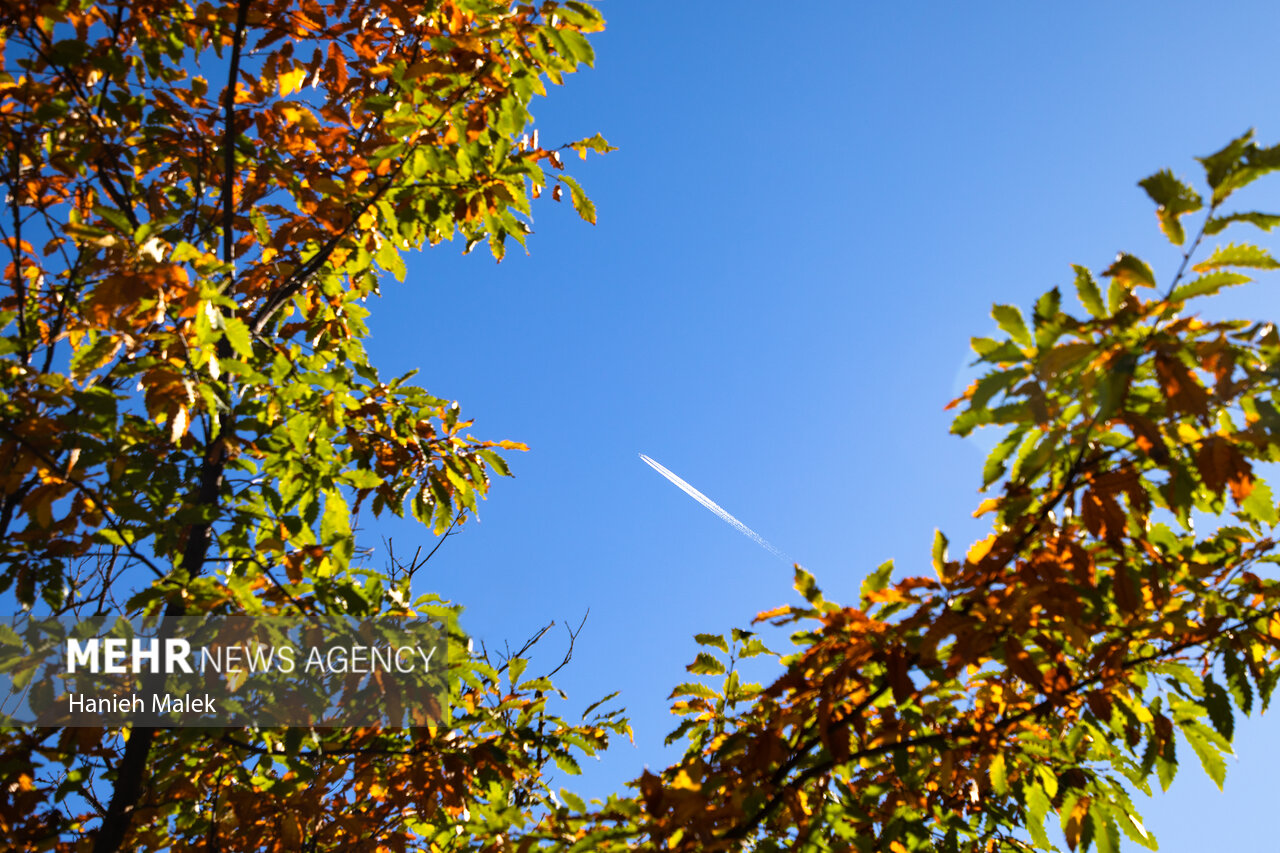 مناظر،هيركاني