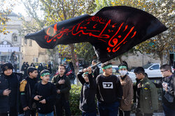 ارادت اهل سنت به حضرت زهرا (س)؛ فاطمیه پایگاه همگرایی امت اسلام