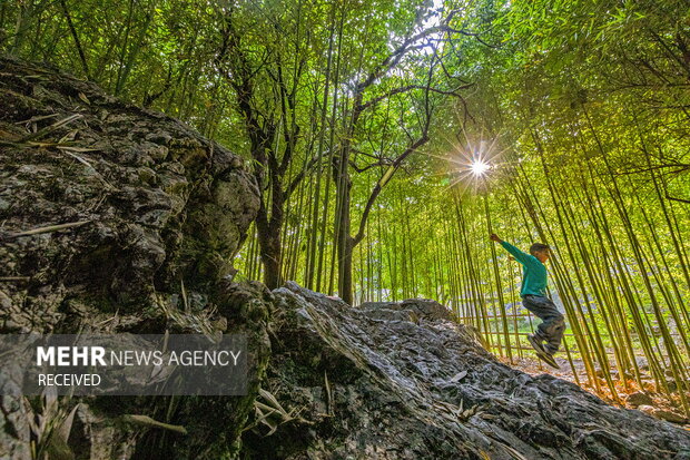 پردیس موزه ایی رامسر