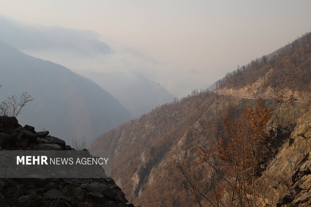 عملیات اطفای حریق جنگل الیت