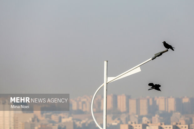 نفس های سنگین تبریز