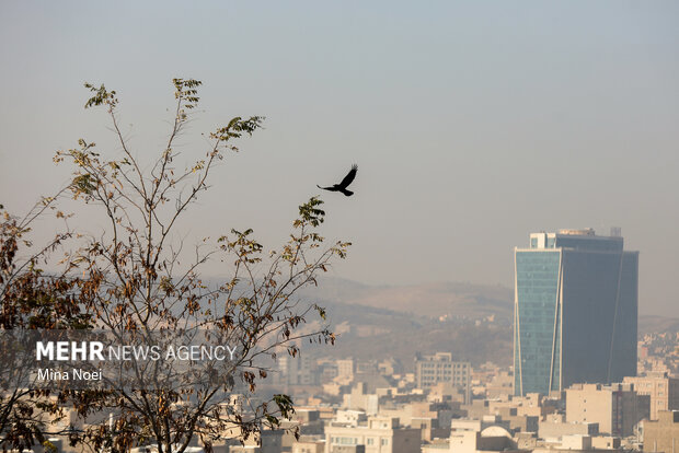 نفس های سنگین تبریز