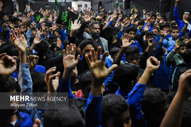 دسته عزاداری نوگلان فاطمی