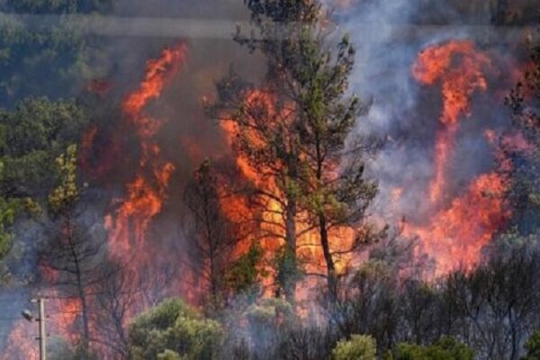 مرزبانی: عرصه های جنگلی سیاهکل و رودبار همچنان می سوزد مرزبانی: عرصه های جنگلی سیاهکل و رودبار همچنان می سوزد