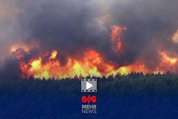 آیا کشورهای دیگر برای مهار آتش الیت کمک کردند؟