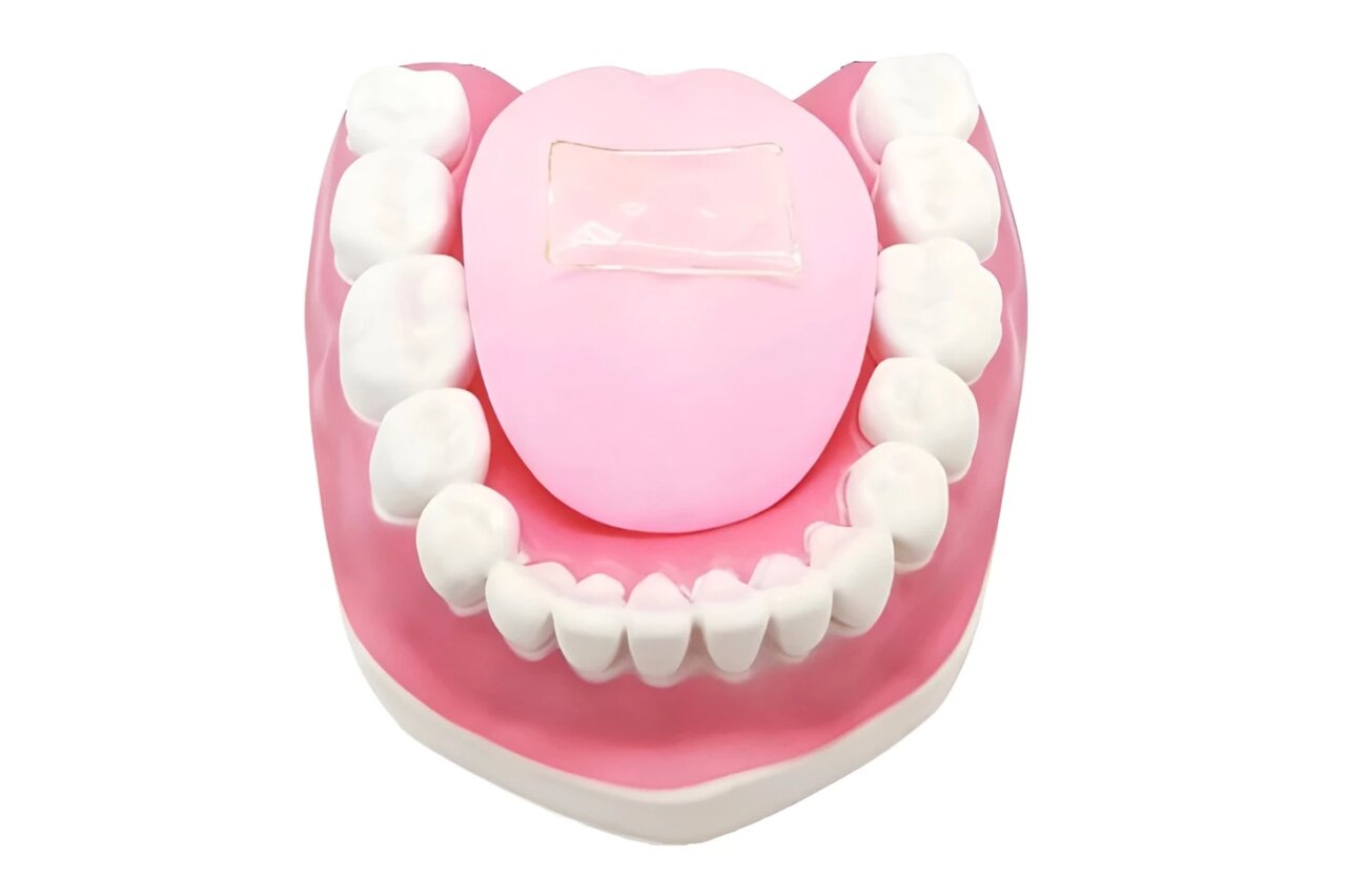 تند،كازئين،ژل،فلفل،تندي،مصنوعي،شير،زبان،غذاي