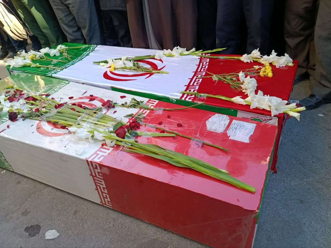 ۵ ستاره بینشان در آسمان گلستان؛ روایتی از بازگشت باشکوه