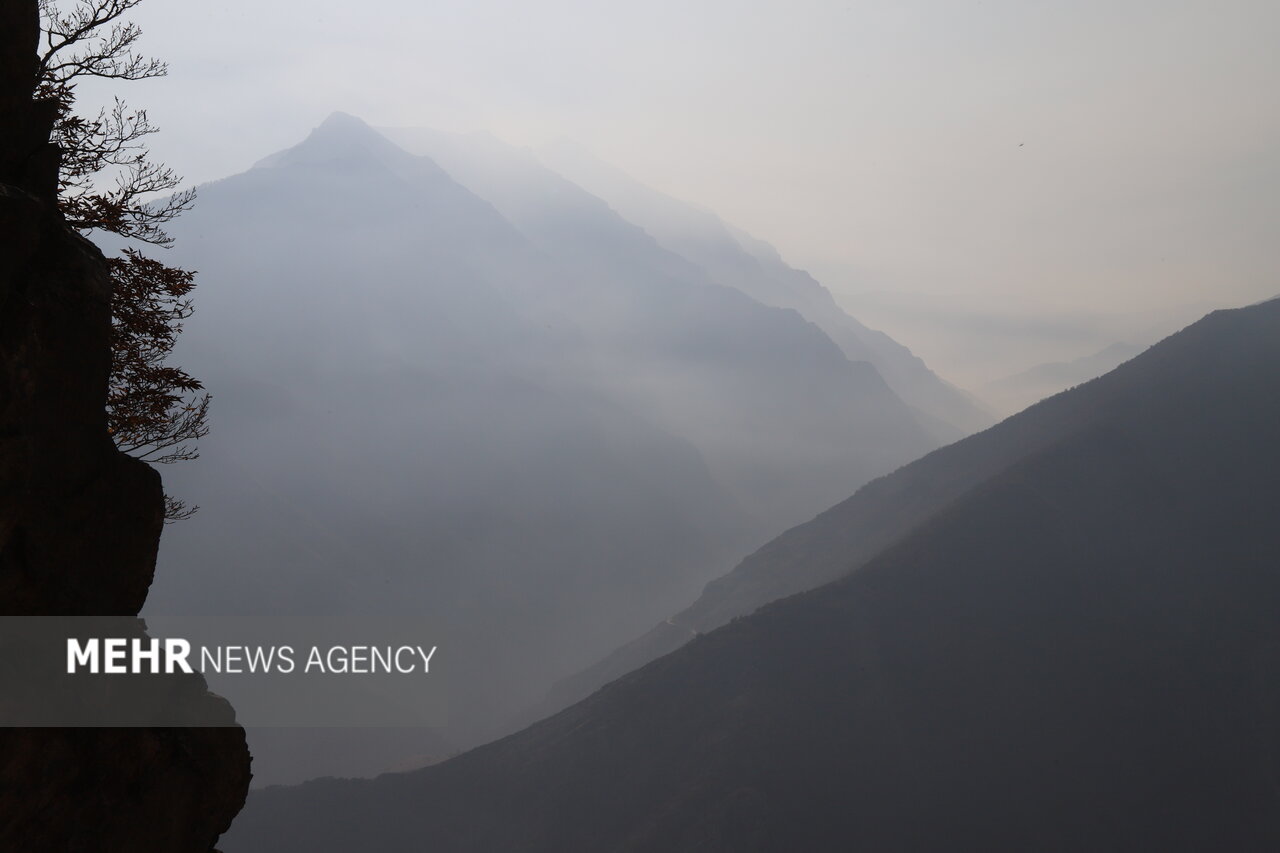 فخاری: فرد مصدوم وگمشده در جنگل دودانگه نجات یافت