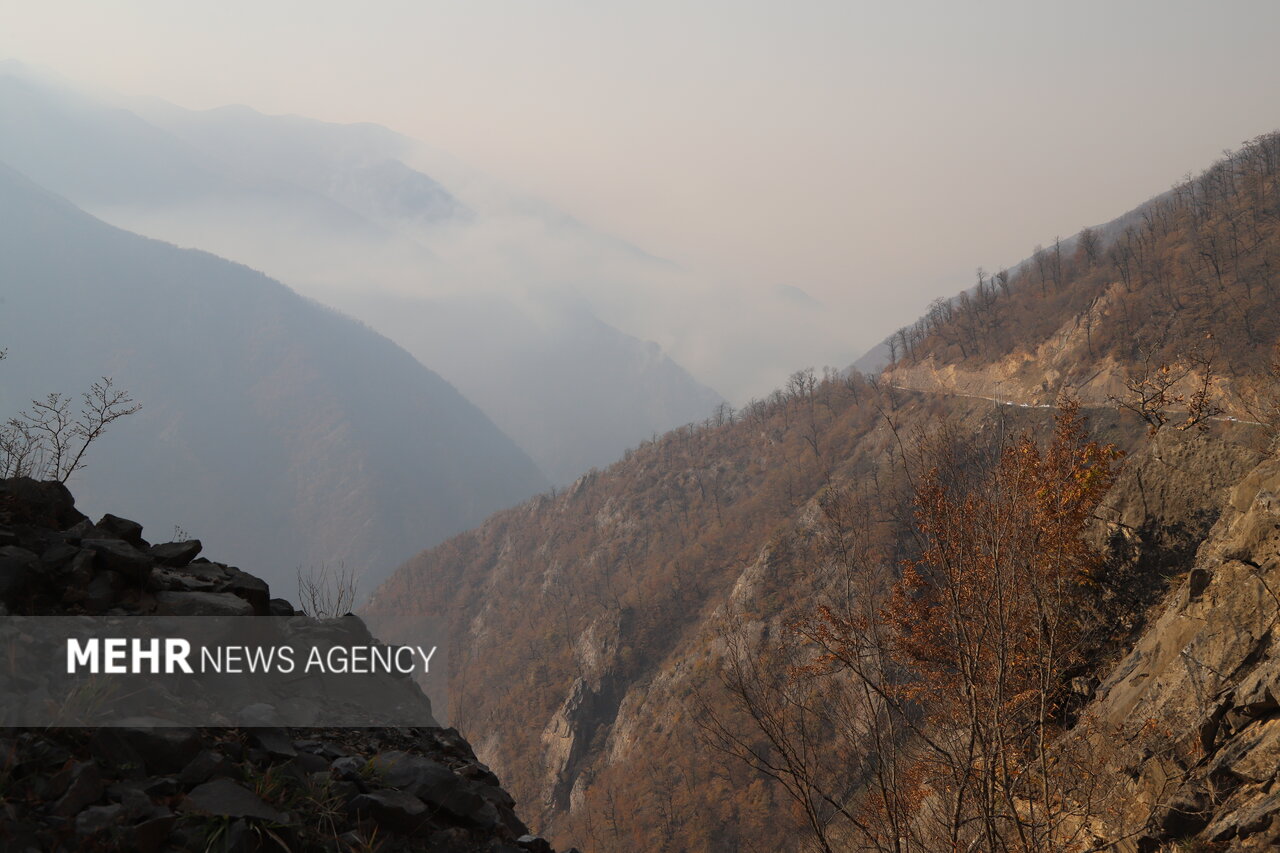 آماده‌باش کامل یگان حفاظت محیط‌زیست در جنگل‌های آذربایجان شرقی
