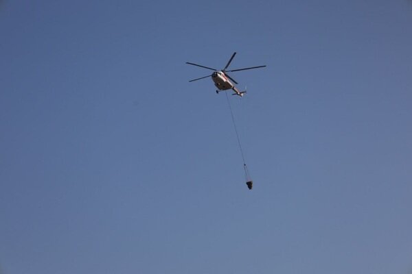 بالگرد،سازمان