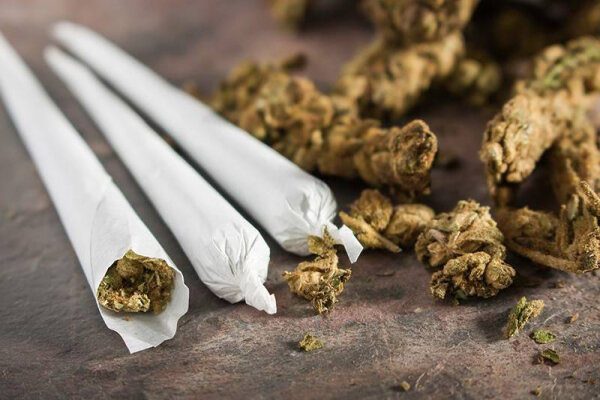 گل،گياه،مصرف،آزاد،دنيا،…،ماده،اعتياد،كشورهاي،شاهدانه،آزادساز ...