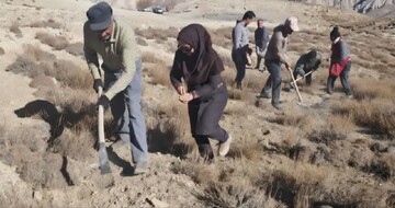 اجرای پویش «کویر سبز» در یک هزار هکتار از مراتع استان سمنان