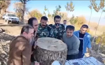 اجرای طرح ضربتی مبارزه با قاچاق چوب در بانه