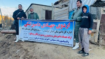 واکسیناسیون ۵۱۸ راس دام سبک و سنگین علیه بیماری تب برفکی در بانه