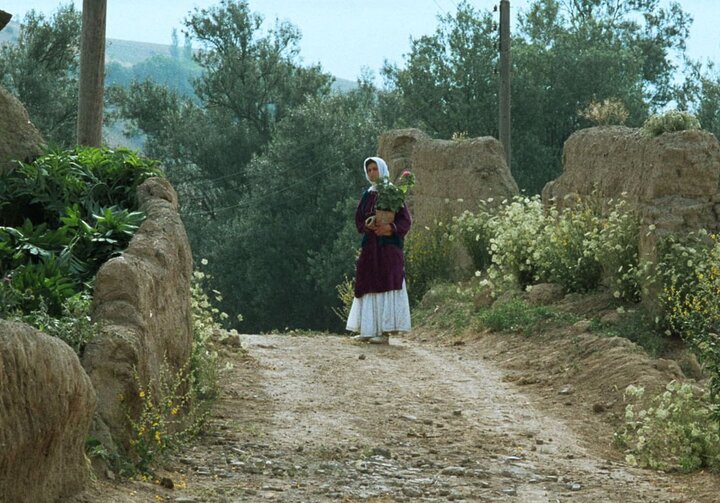 جشنواره جهانی با فیلم عباس کیارستمی افتتاح می‌شود؛ معرفی داوران ایرانی