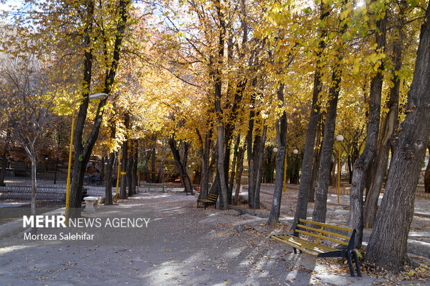 طبیعت پاییزی سیاسرد بروجن