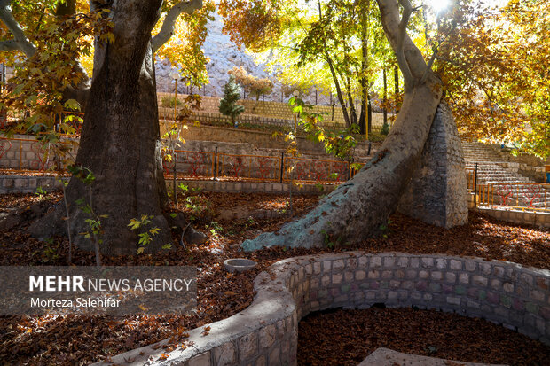 طبیعت پاییزی سیاسرد بروجن