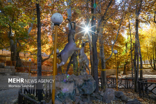 طبیعت پاییزی سیاسرد بروجن