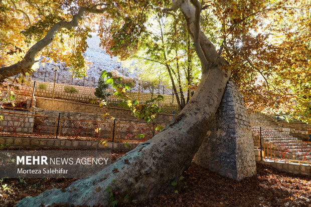 طبیعت پاییزی سیاسرد بروجن