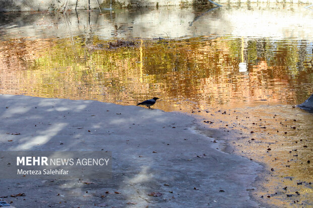 طبیعت پاییزی سیاسرد بروجن