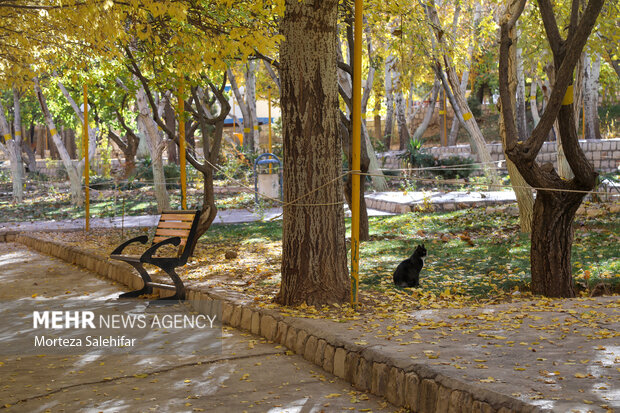 طبیعت پاییزی سیاسرد بروجن