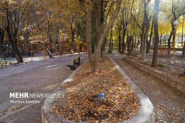 طبیعت پاییزی سیاسرد بروجن