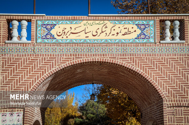 طبیعت پاییزی سیاسرد بروجن