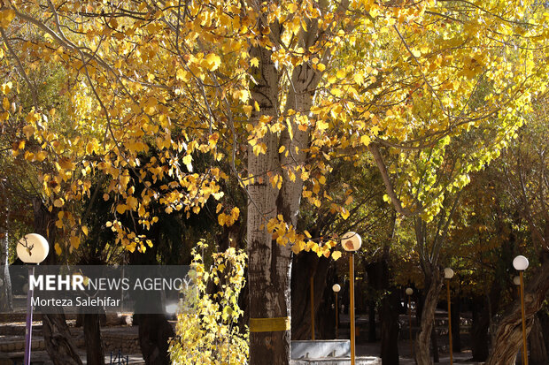 طبیعت پاییزی سیاسرد بروجن