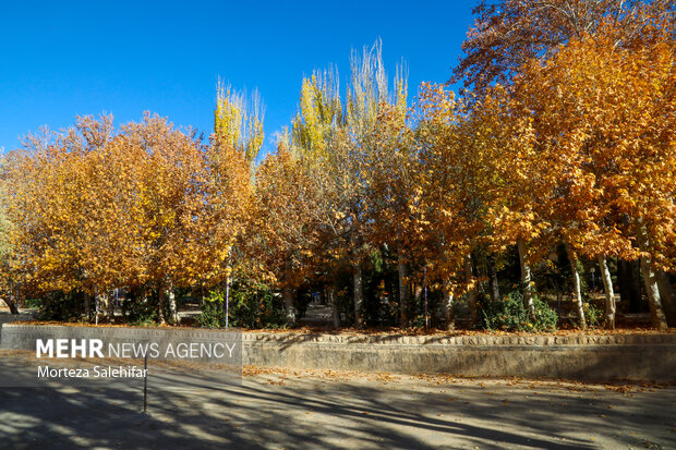 طبیعت پاییزی سیاسرد بروجن