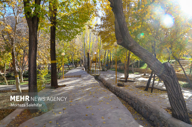 طبیعت پاییزی سیاسرد بروجن