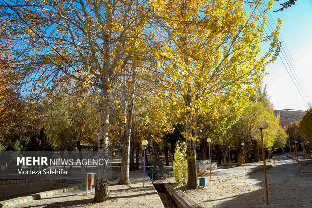 طبیعت پاییزی سیاسرد بروجن