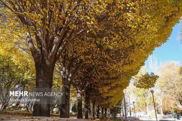 طبیعت پاییزی سیاسرد بروجن