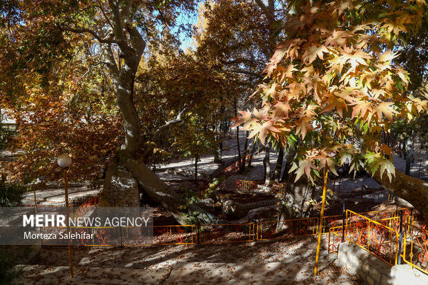 طبیعت پاییزی سیاسرد بروجن