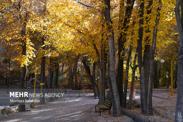 طبیعت پاییزی سیاسرد بروجن