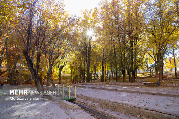 طبیعت پاییزی سیاسرد بروجن