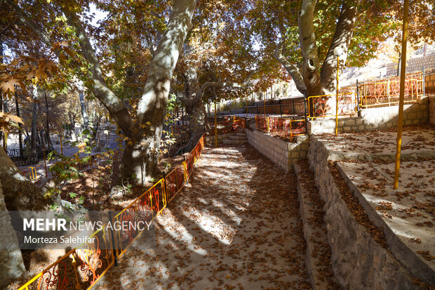 طبیعت پاییزی سیاسرد بروجن