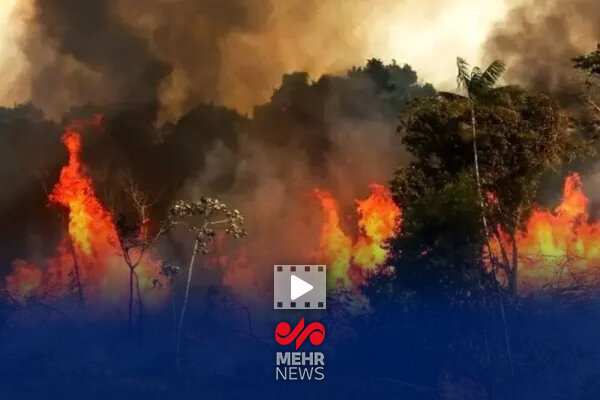 احتمال آتش‌سوزی دوباره در جنگل‌های الیت