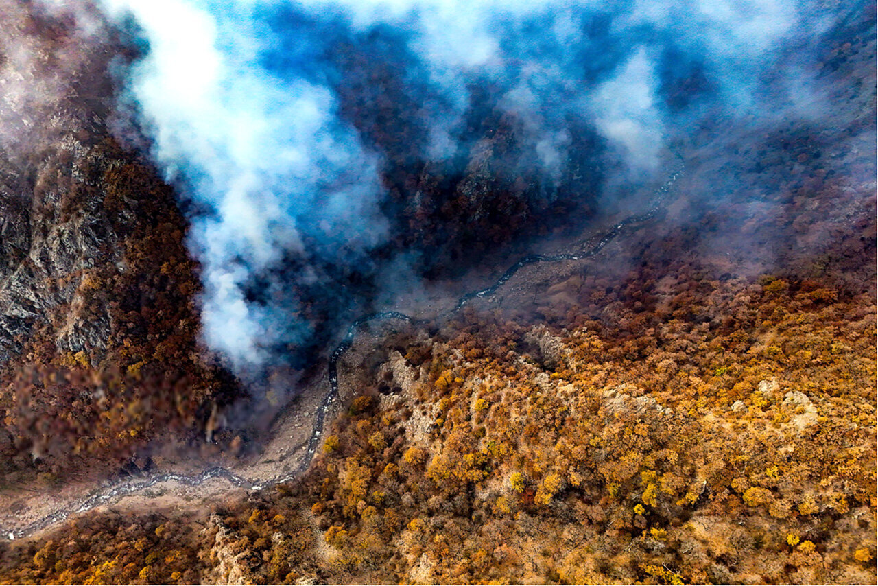 مرزبانی: ۱۰ هکتار از جنگل های گیلان در آتش سوخت مرزبانی: ۱۰ هکتار از جنگل های گیلان در آتش سوخت