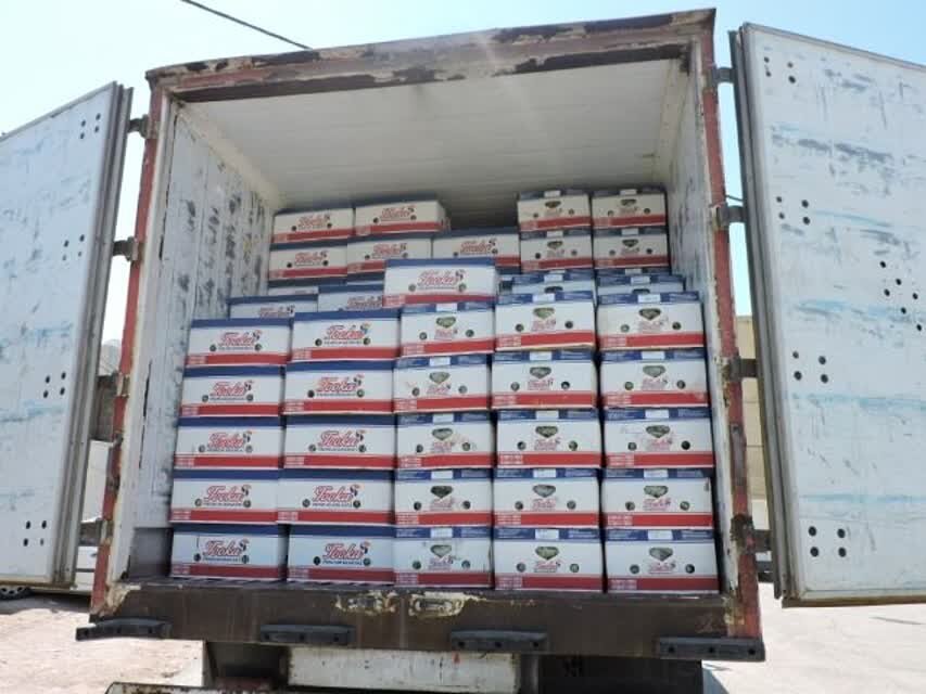 اولین محموله موز از پاکستان وارد خراسان جنوبی شد