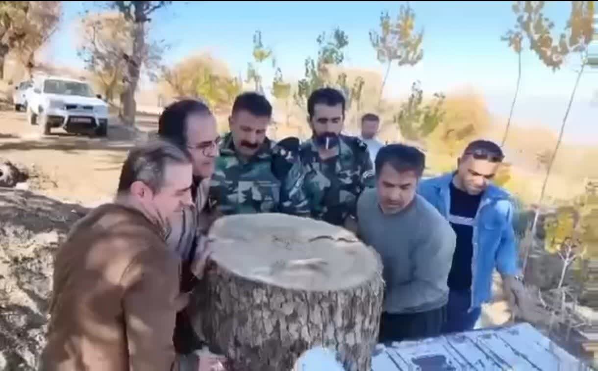 اجرای طرح ضربتی مبارزه با قاچاق چوب در بانه