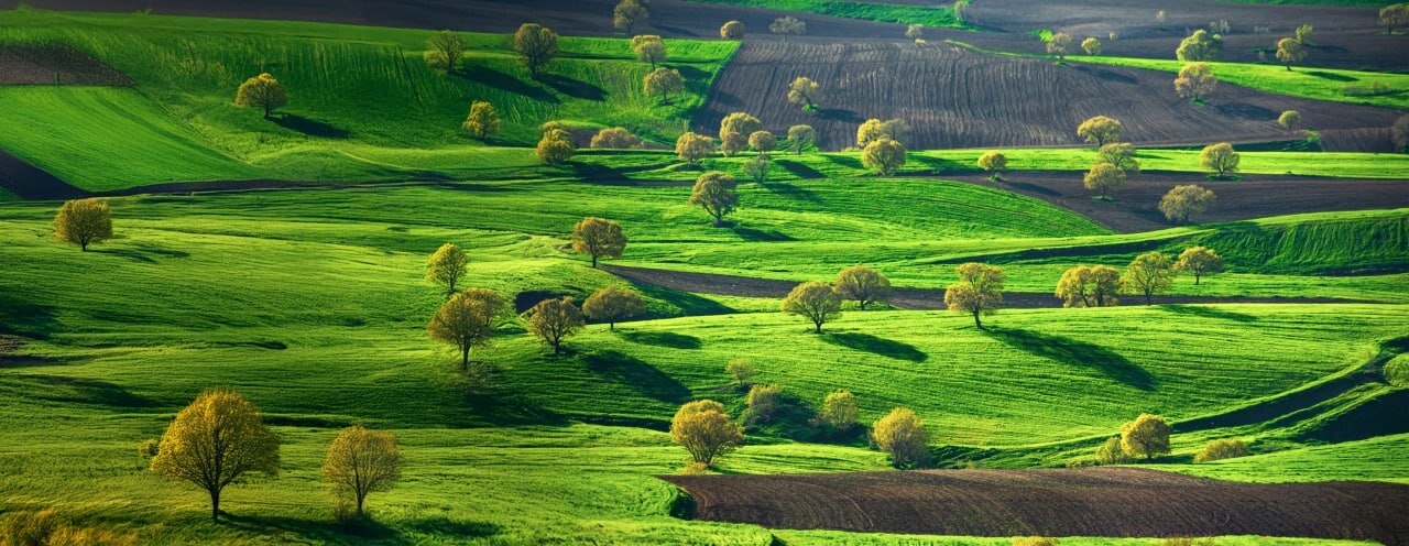 لە سەمای دڵڕفێنی دەف تا تامی کەلانەی کوردی؛ کوردستان شوێنێکی بێ‌وێنە بۆ گەشتیاری